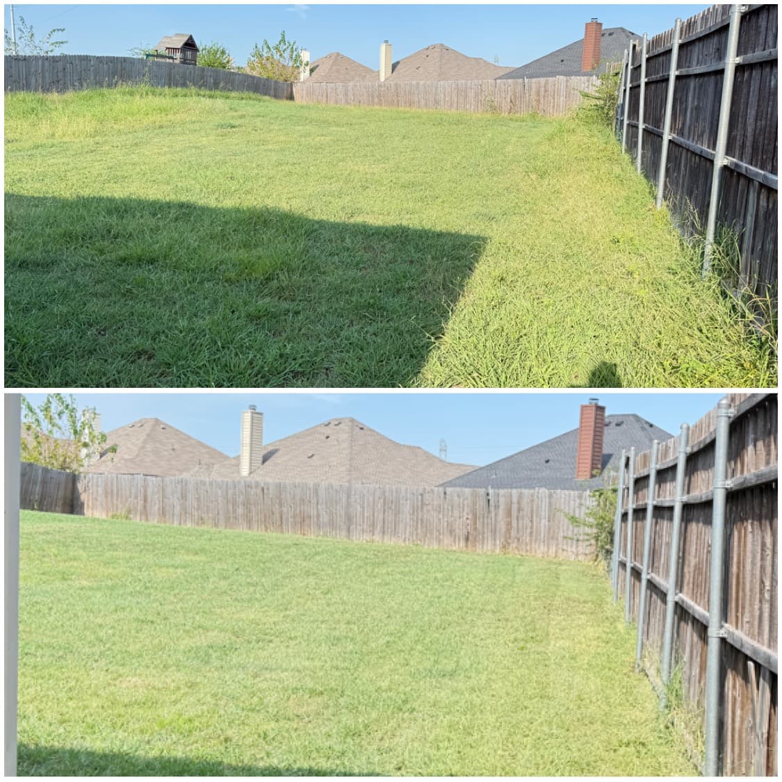 Backyard lawn cleanup