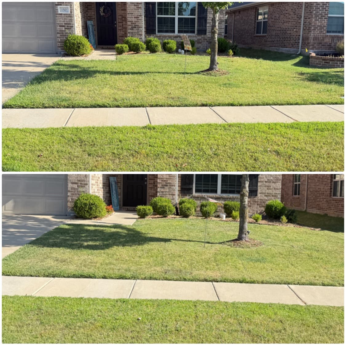 Front yard landscaping maintenance