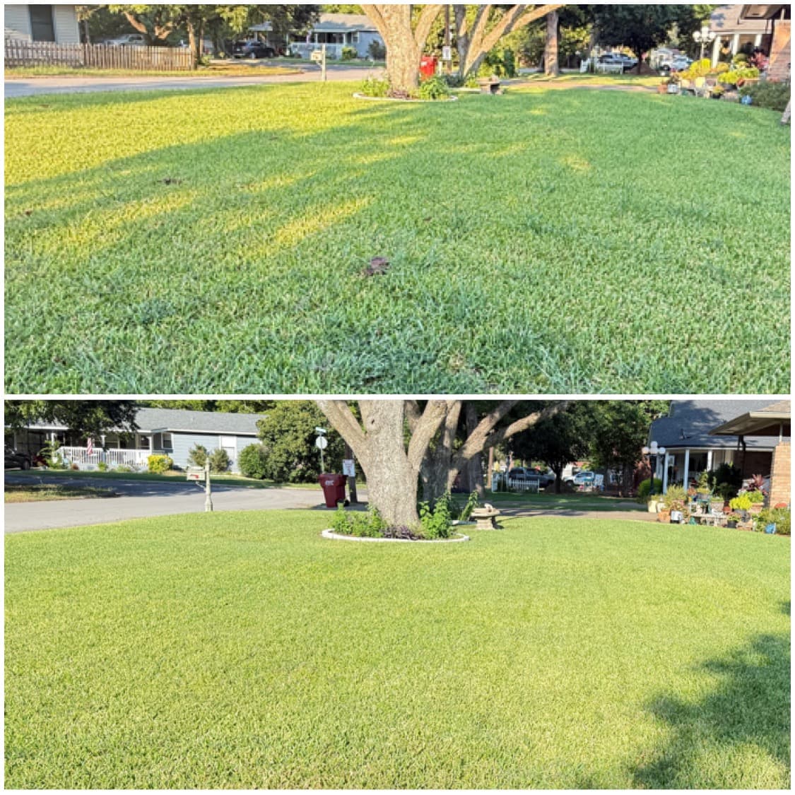 Lawn care and mowing service